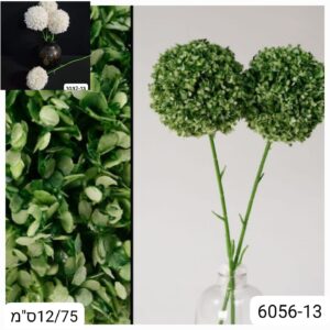 פרח כדור