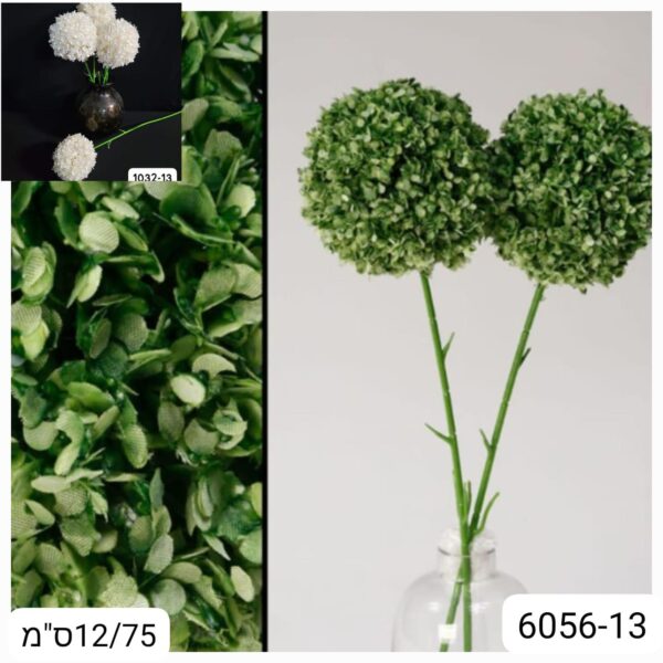 פרח כדור