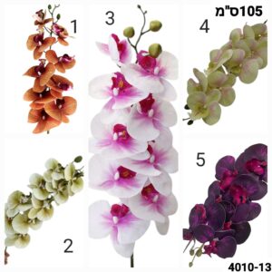 ענף סחלב 5 צבעים