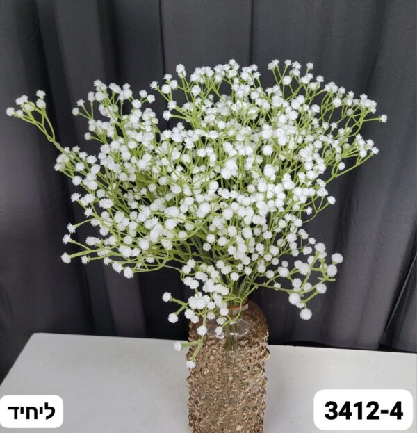 זר גיפסנית לבן