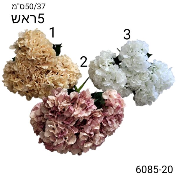 זר הורטנזיה מלאכותית