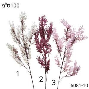ענף לימוניום 3 צבעים